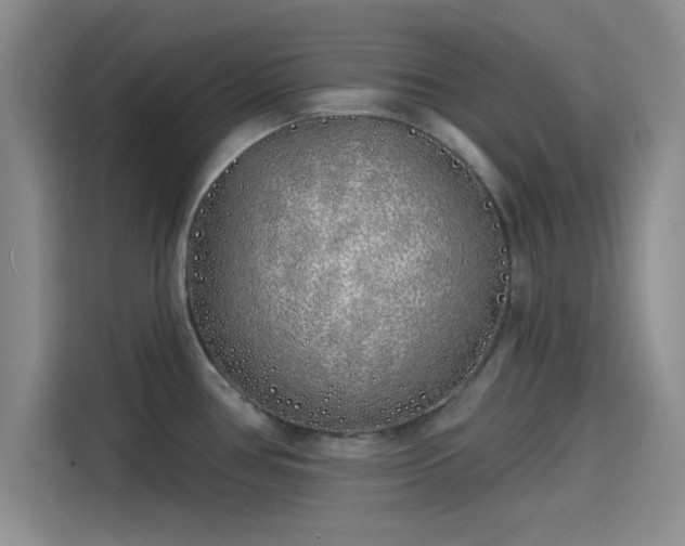 X0000114201386200910161216