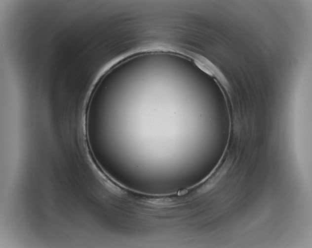 X0000114201388200910161216