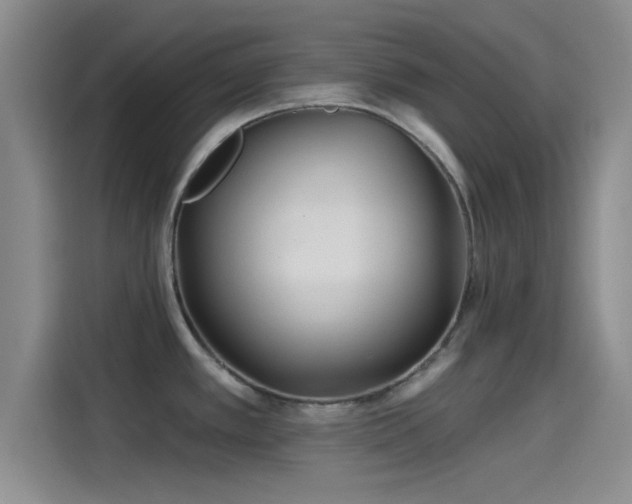 X0000114201389200910161216