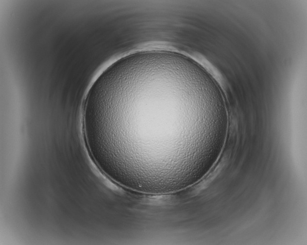 X0000114201390200910161216