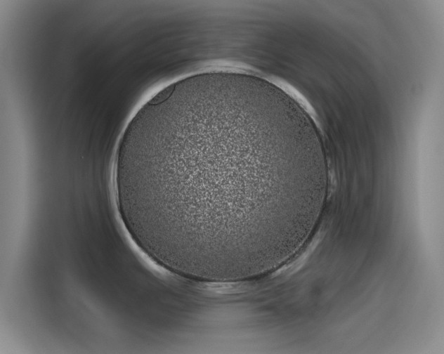 X0000114201391200910161216