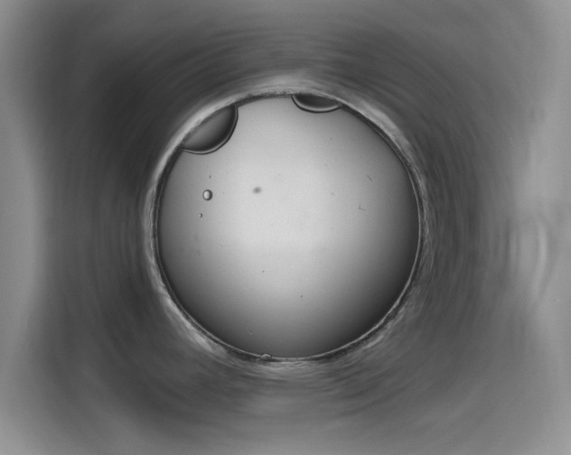 X0000114201392200910161216