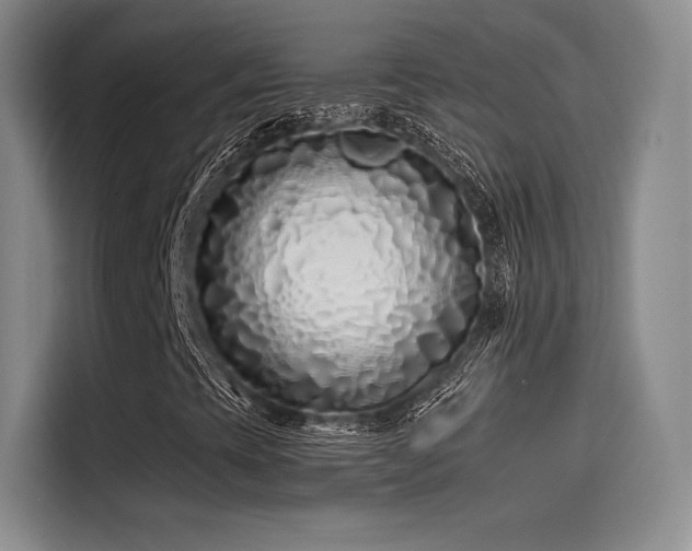 X0000114201393200910161215