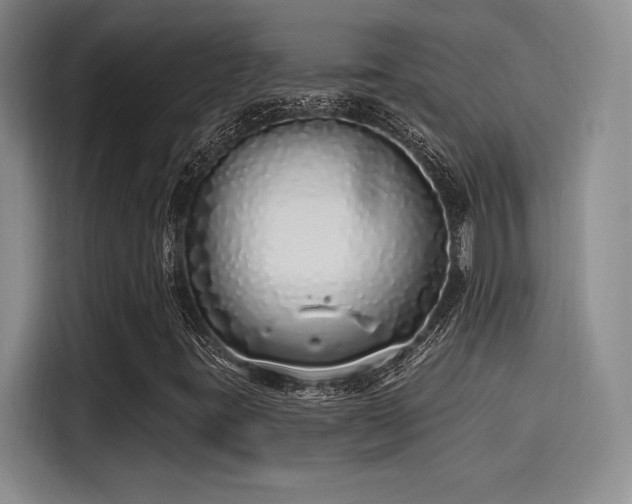 X0000114201395200910161215