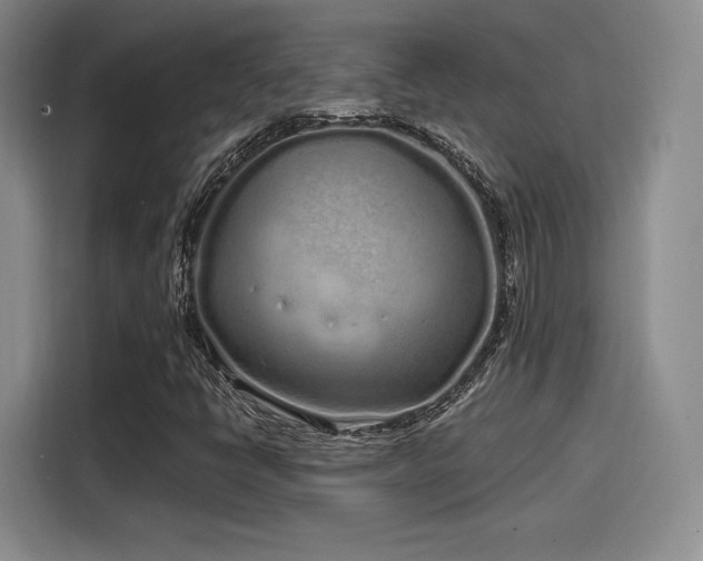 X0000114201398200910161215