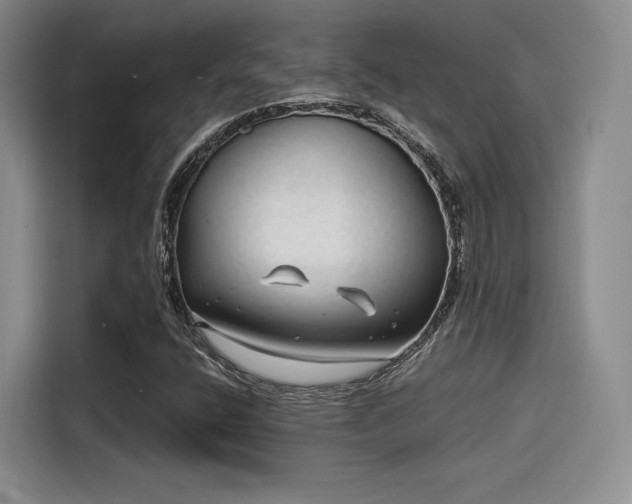 X0000114201400200910161215