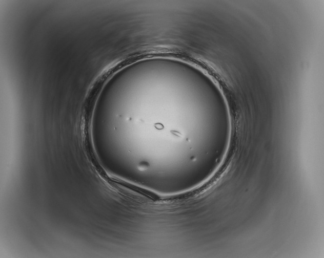 X0000114201402200910161215