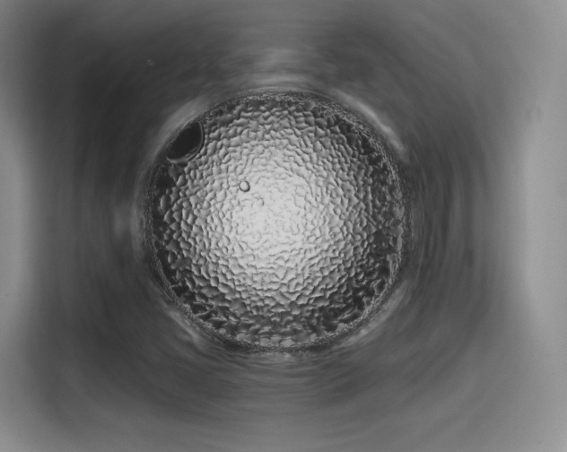 X0000114201405200910161215