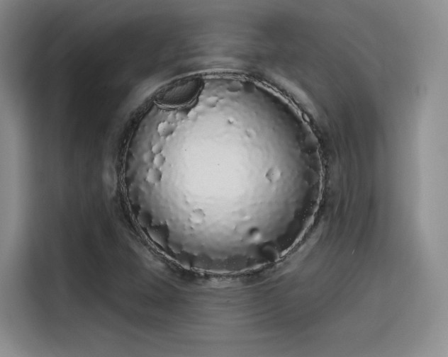 X0000114201407200910161215