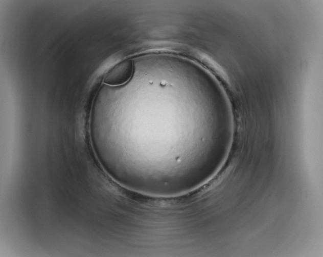 X0000114201411200910161215