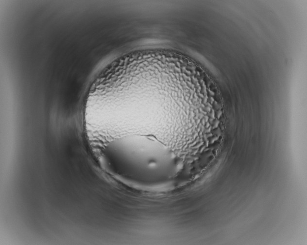 X0000114201413200910161215