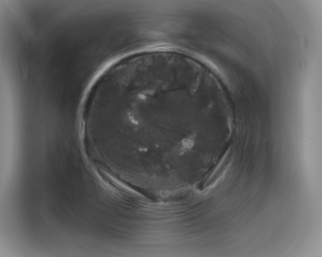 X0000114201414200910161216