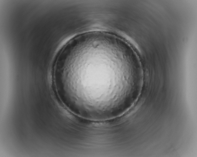 X0000114201415200910161216