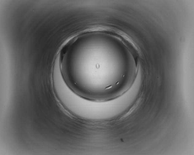 X0000114201417200910161216