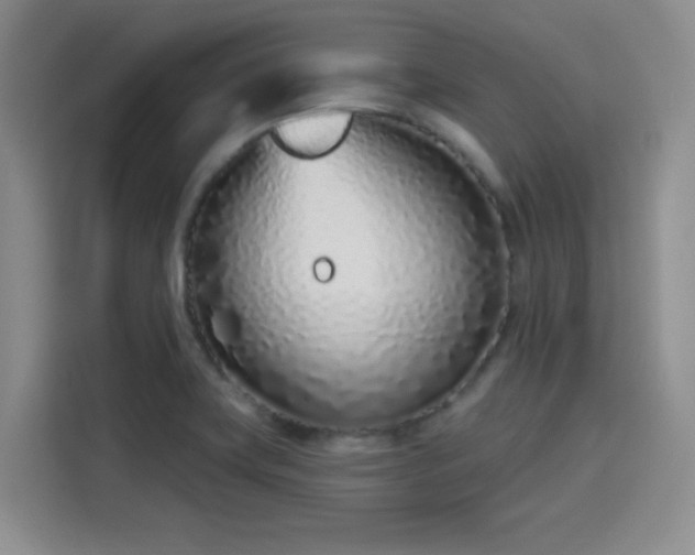 X0000114201419200910161216