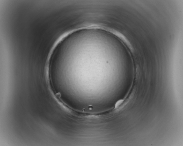 X0000114201424200910161216