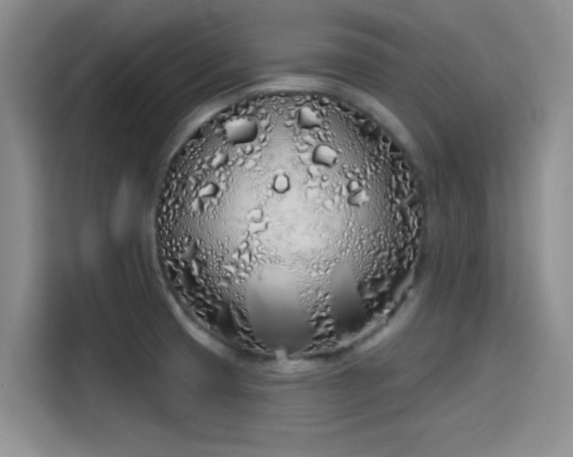 X0000114201425200910161216