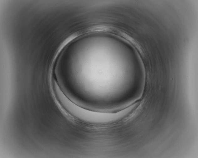 X0000114201426200910161216