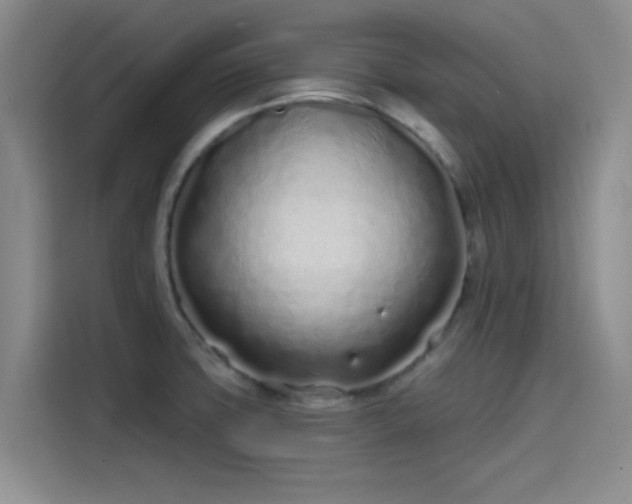 X0000114201427200910161216