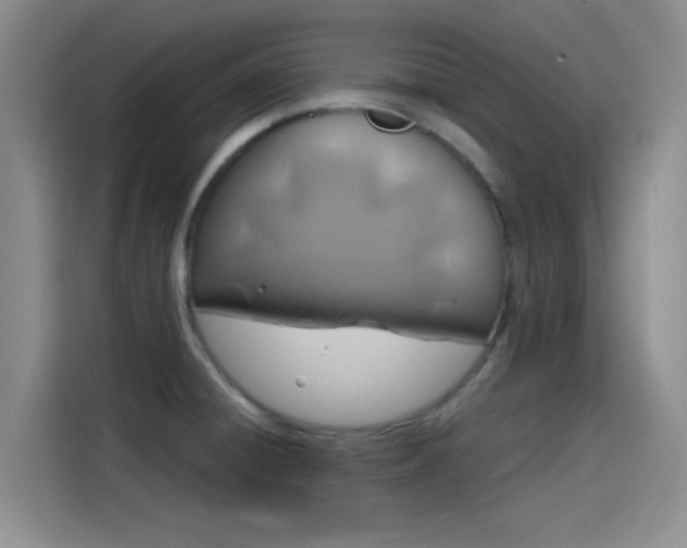 X0000114201428200910161216