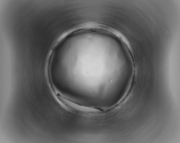 X0000114201429200910161216