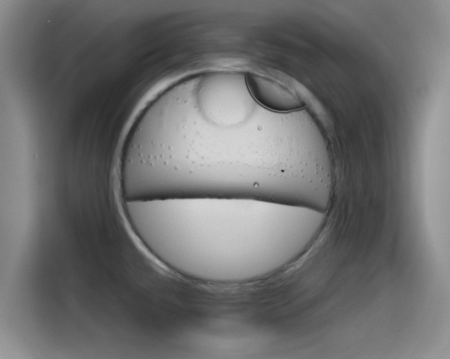 X0000114201432200910161216