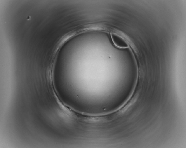 X0000114201433200910161216