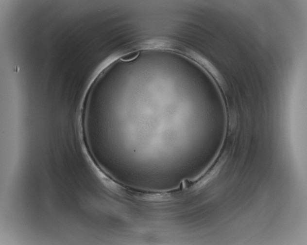 X0000114201434200910161216