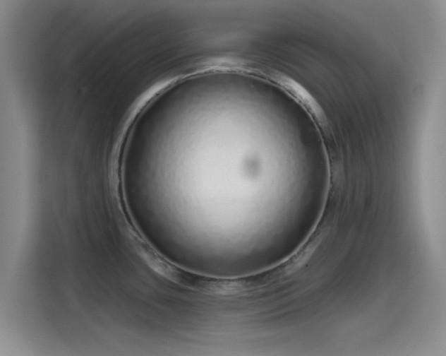 X0000114201435200910161216