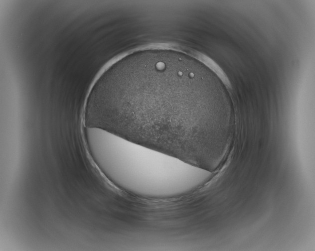 X0000114201436200910161216