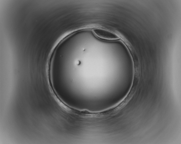 X0000114201438200910161216