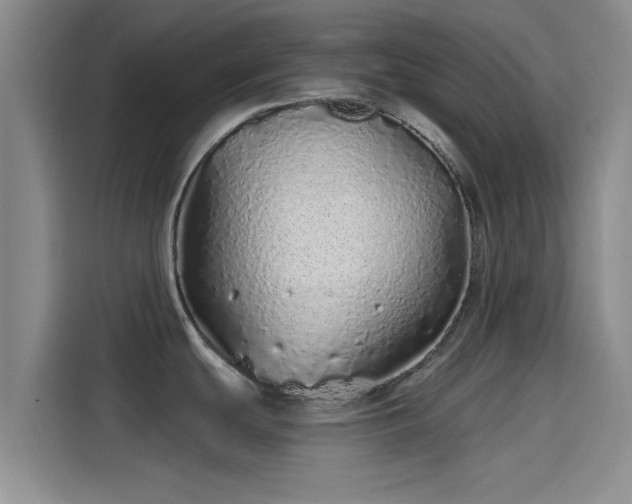 X0000114201439200910161216