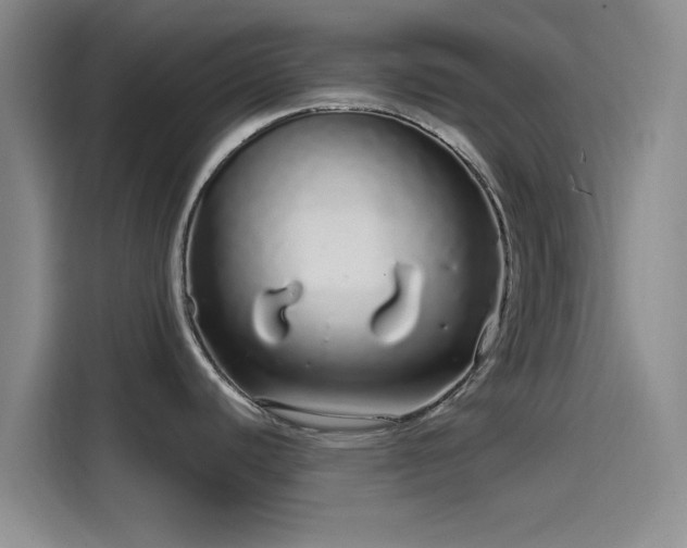 X0000114201440200910161216