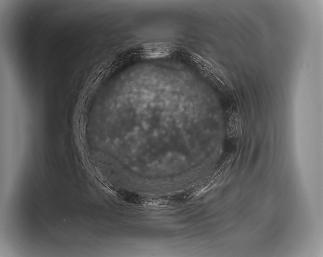 X0000114201441200910161215