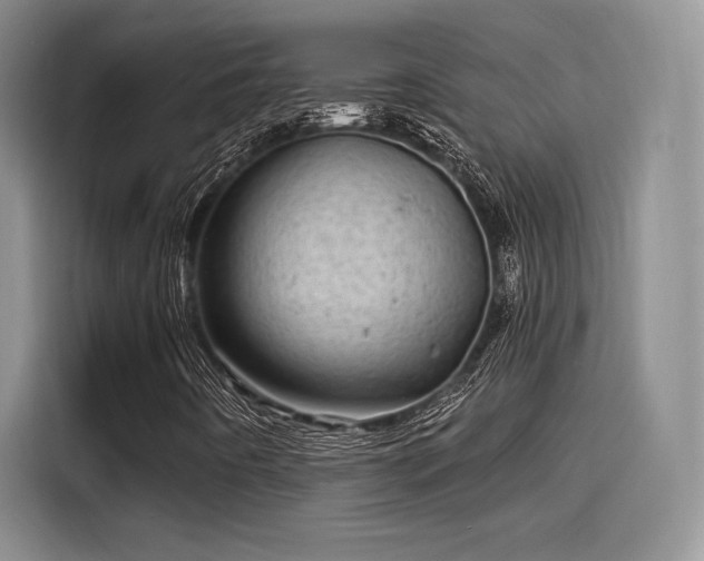 X0000114201442200910161215