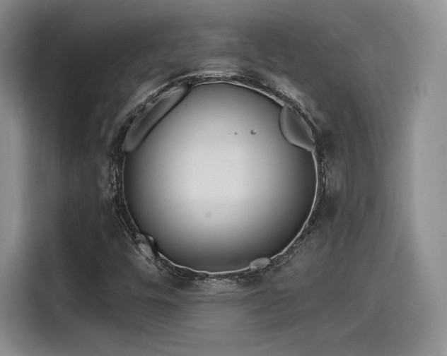 X0000114201448200910161215