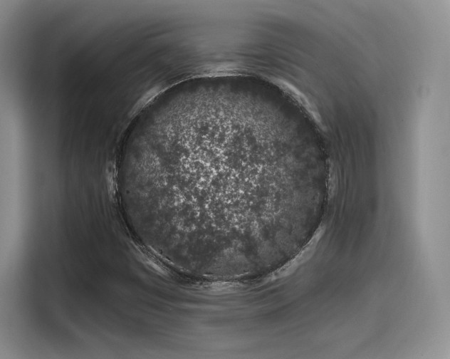 X0000114201449200910161215