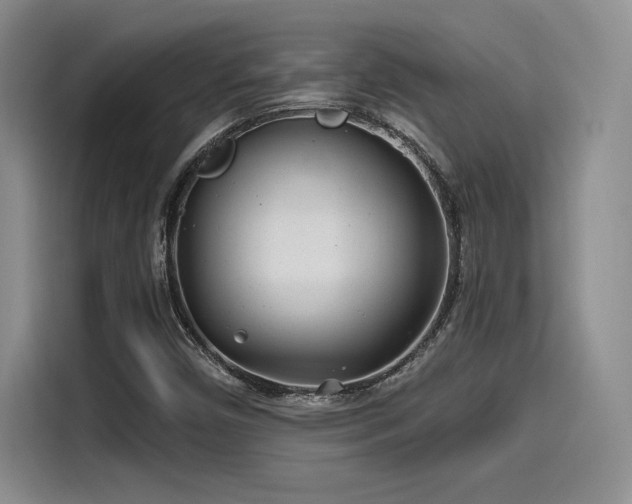 X0000114201450200910161215