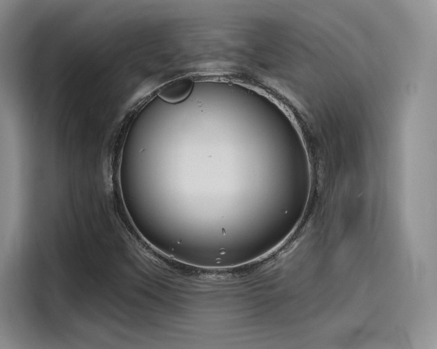 X0000114201451200910161215