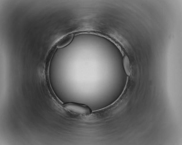 X0000114201452200910161215