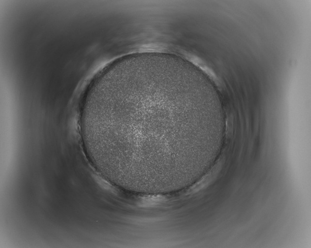 X0000114201454200910161215