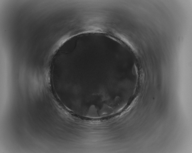 X0000114201455200910161215