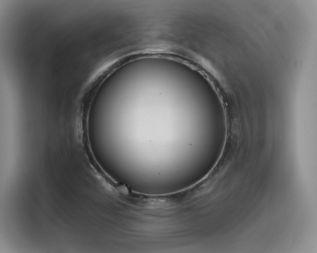 X0000114201456200910161215