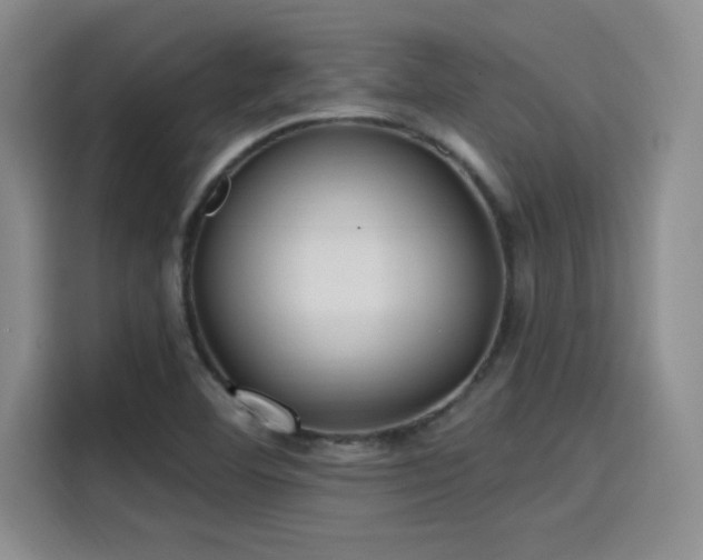 X0000114201460200910161215