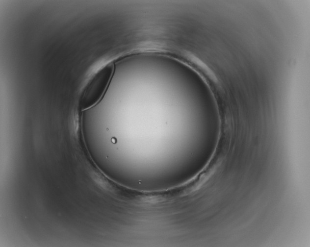 X0000114201461200910161215