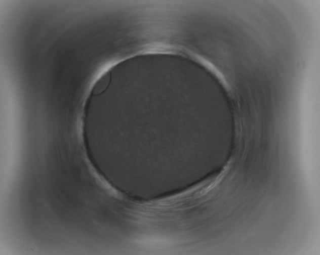 X0000114201463200910161215