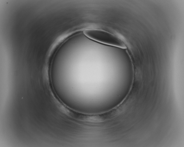 X0000114201464200910161215