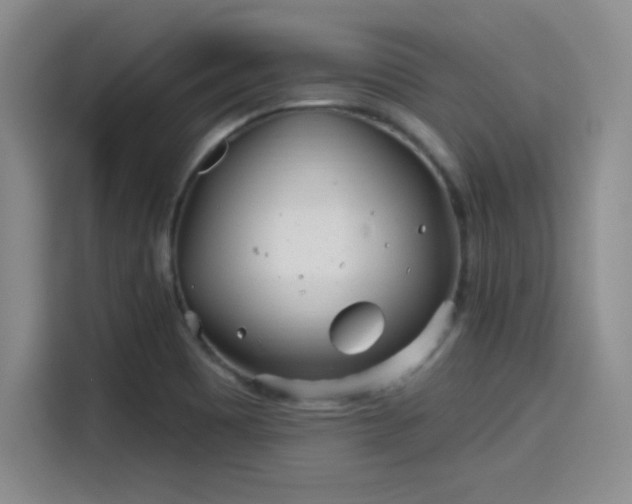 X0000114201465200910161215