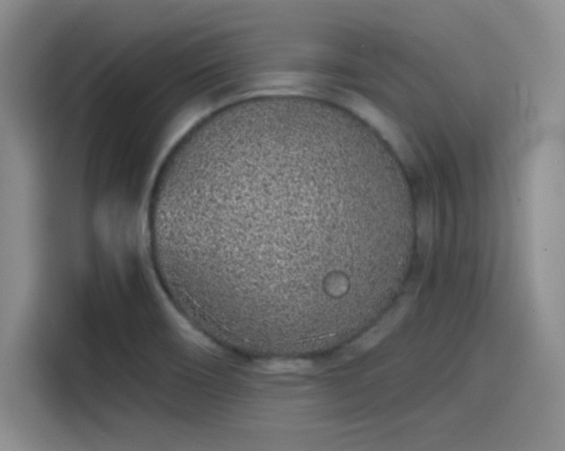 X0000114201466200910161215