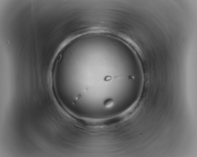 X0000114201467200910161215